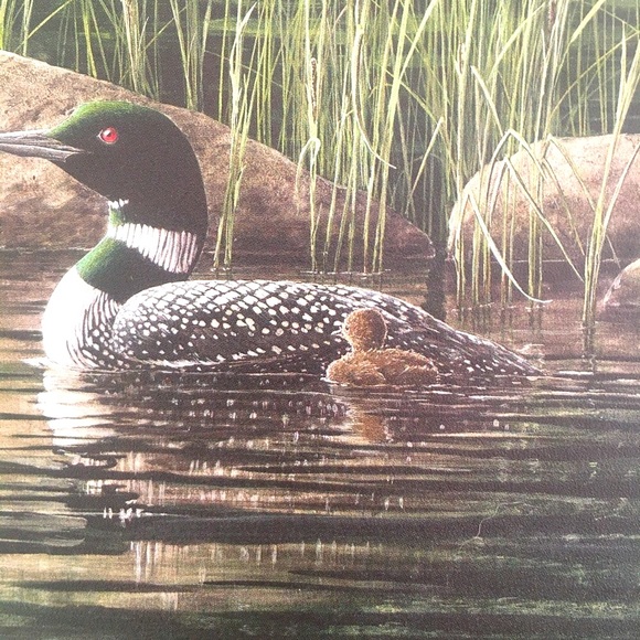 Canadian Loon Family Signed by Artist Don Li-Leger - Picture 4 of 11